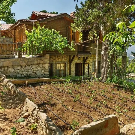 Chalet Feslikan Chalet *